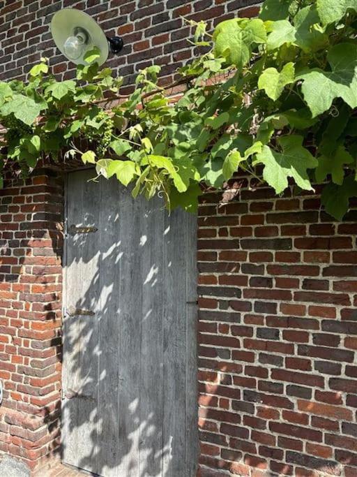 Hébergement de vacances Barn47 Vacation Audenarde
