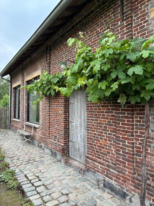 Barn47 Vacation Oudenaarde